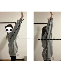 画像313