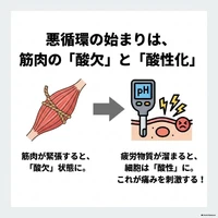 画像554