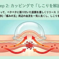 画像558
